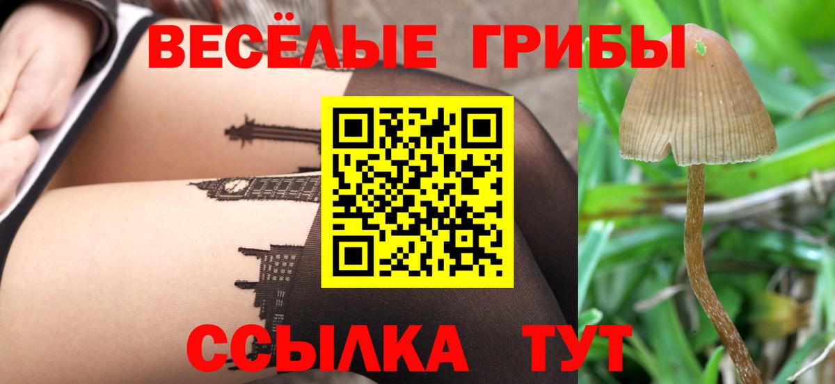 Галлюциногенные грибы прущие грибы Тавда