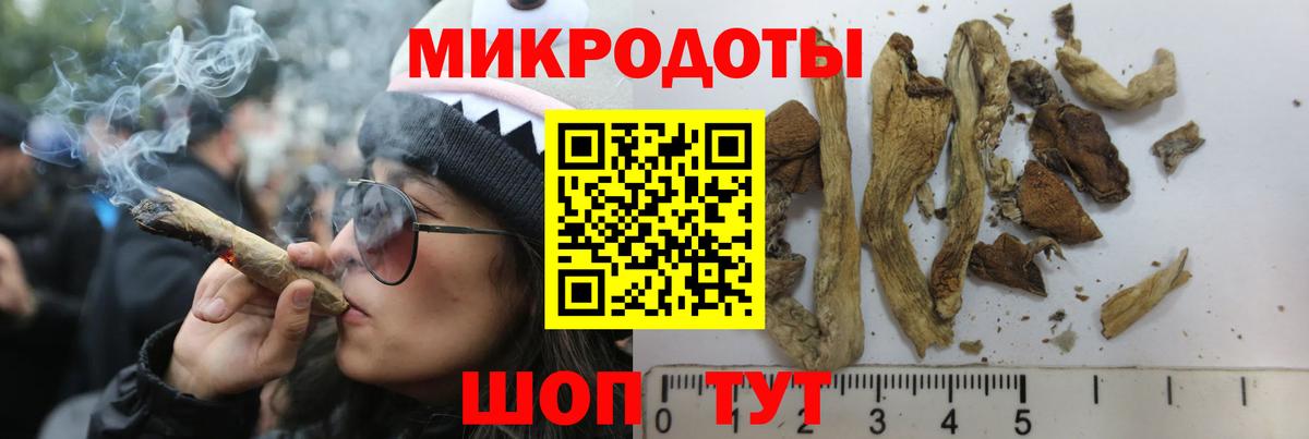 Тавда  Галлюциногенные грибы MAGIC MUSHROOMS  Вход с VPN 