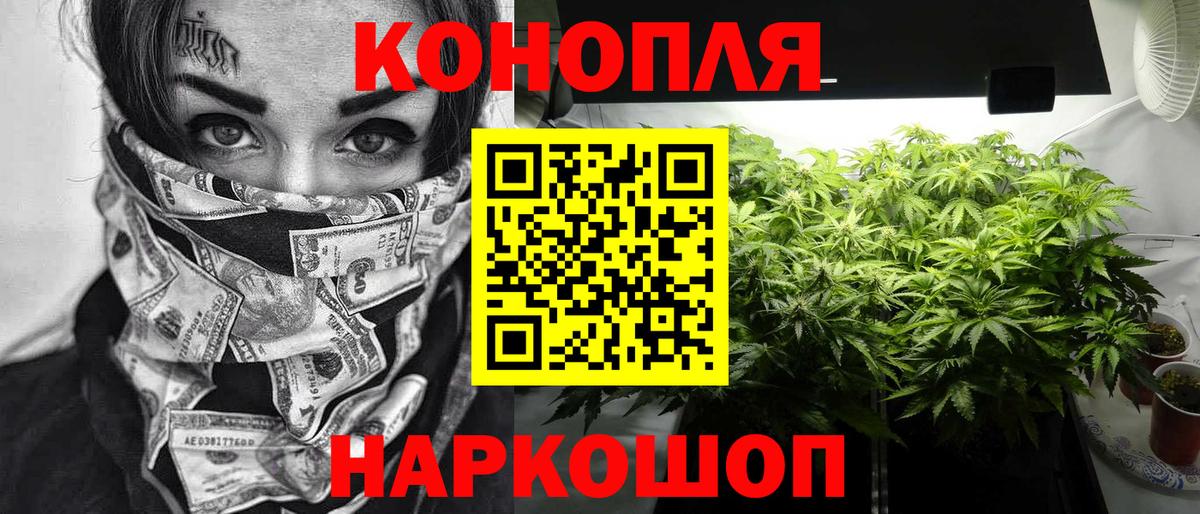 Бошки марихуана тримм Тавда